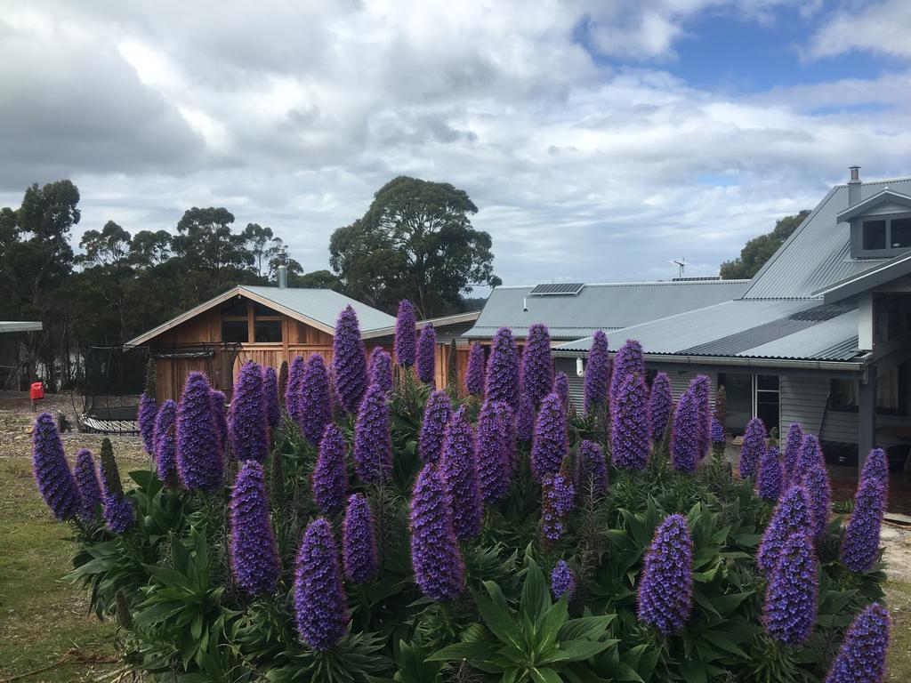 Bruny Island Lodge South Bruny Exterior photo